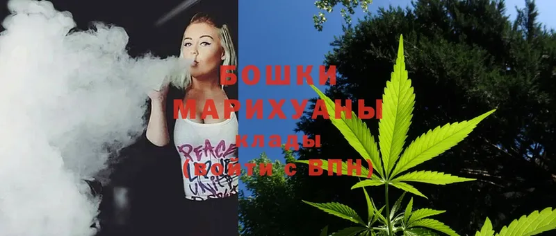 Марихуана SATIVA & INDICA  Курлово 